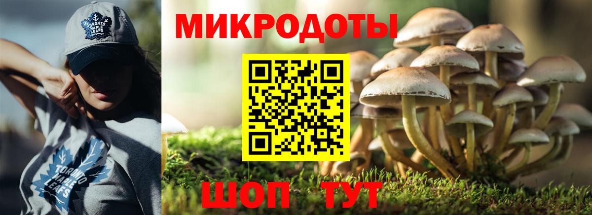 Псилоцибиновые грибы Psilocybine cubensis  Вход с VPN  Кинешма  Галлюциногенные грибы мицелий 